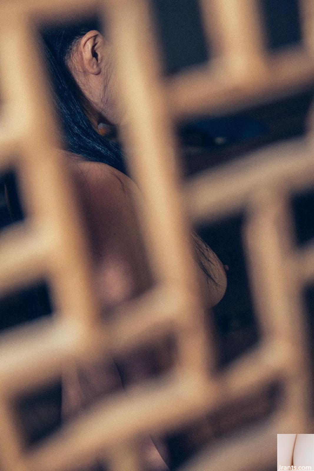 Bộ ảnh body của người mẫu Trung Quốc Jia Ling-01 (120P) - Ảnh 5