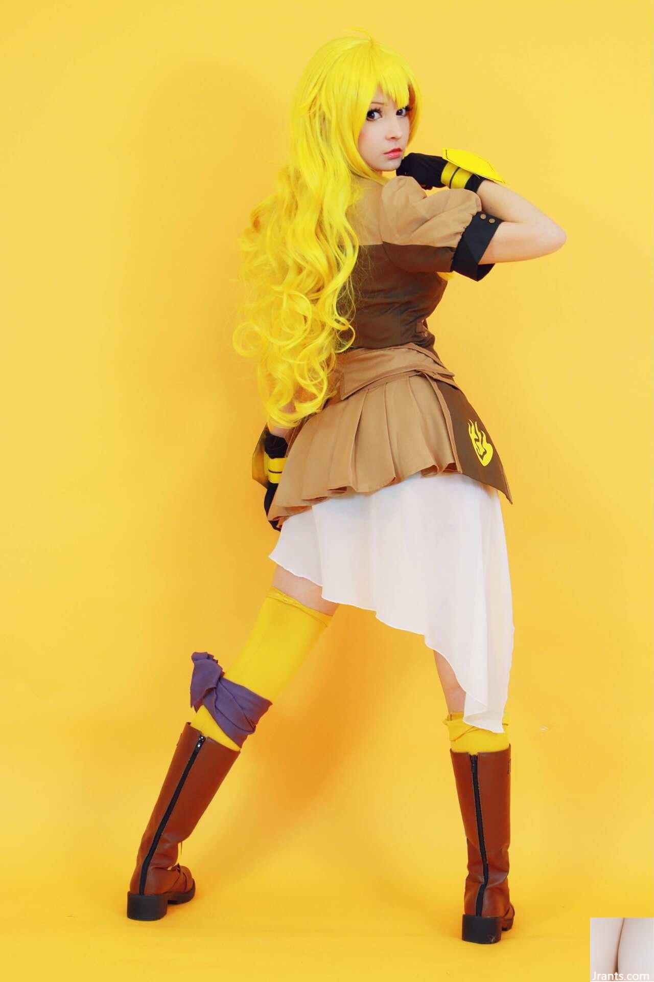 Hoa hồng Hidori – Yang - Ảnh 26