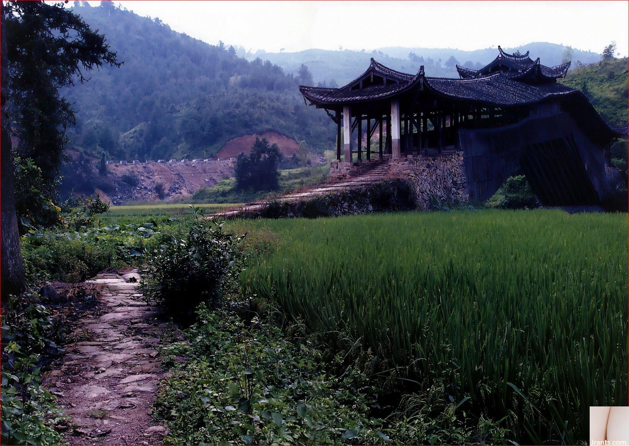 Aita Yu (Ảnh) “YUA” (Jin You Rong) (102P) - Ảnh 24