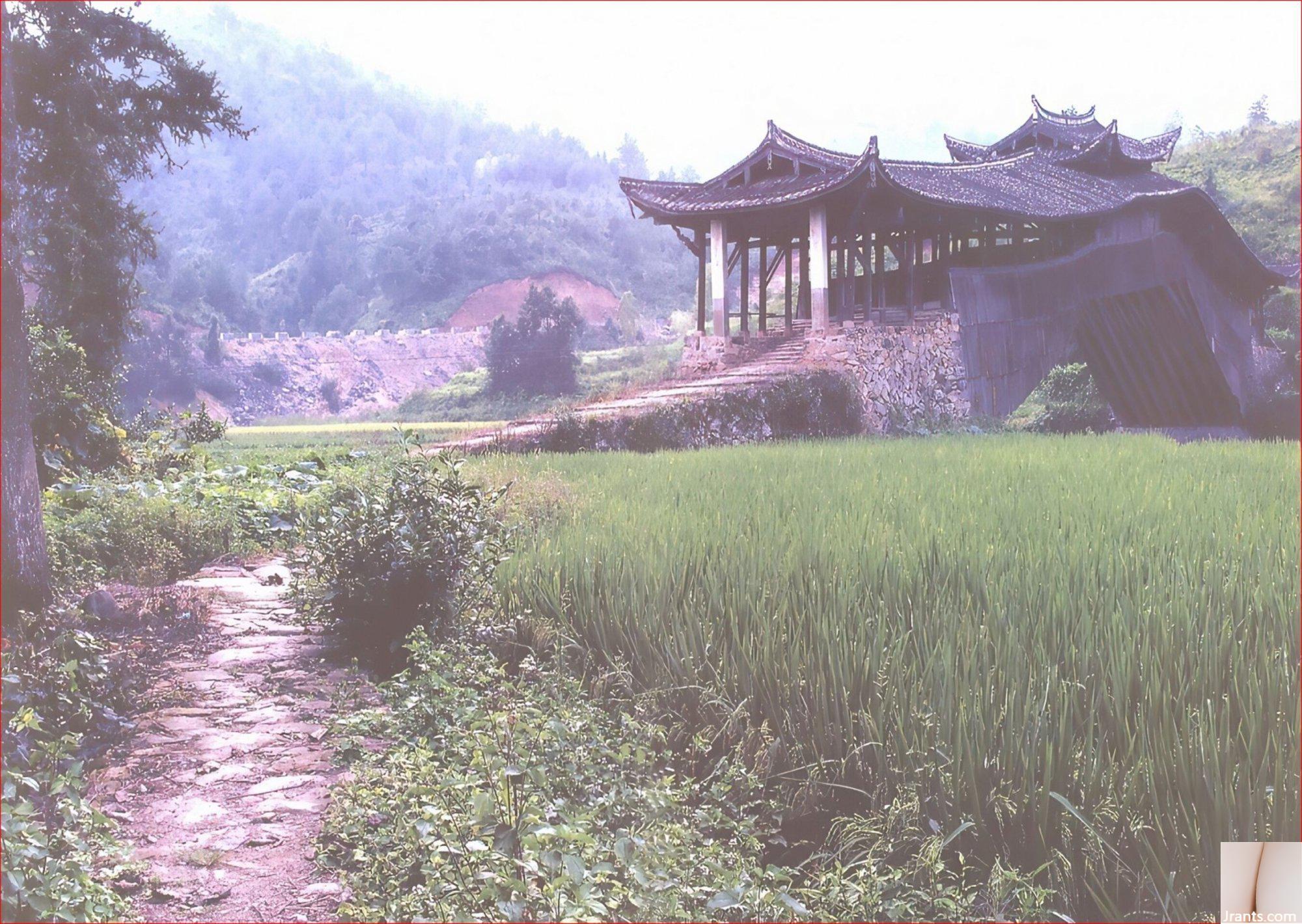 Aita Yu (Ảnh) “YUA” (Jin You Rong) (102P) - Ảnh 4