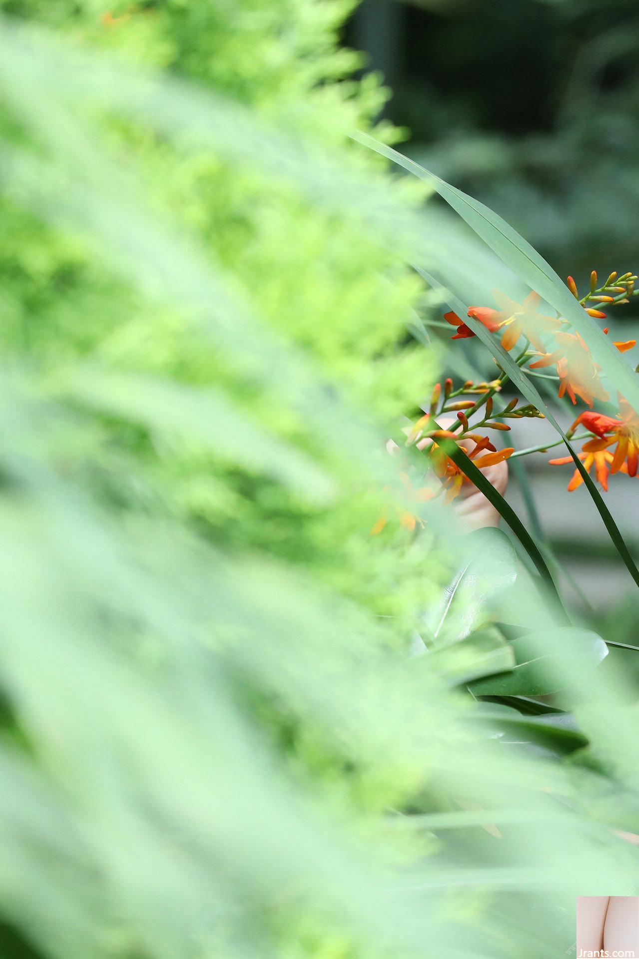 Rei Toda Nếu là mơ thì đừng tỉnh dậy (101P) - Ảnh 5