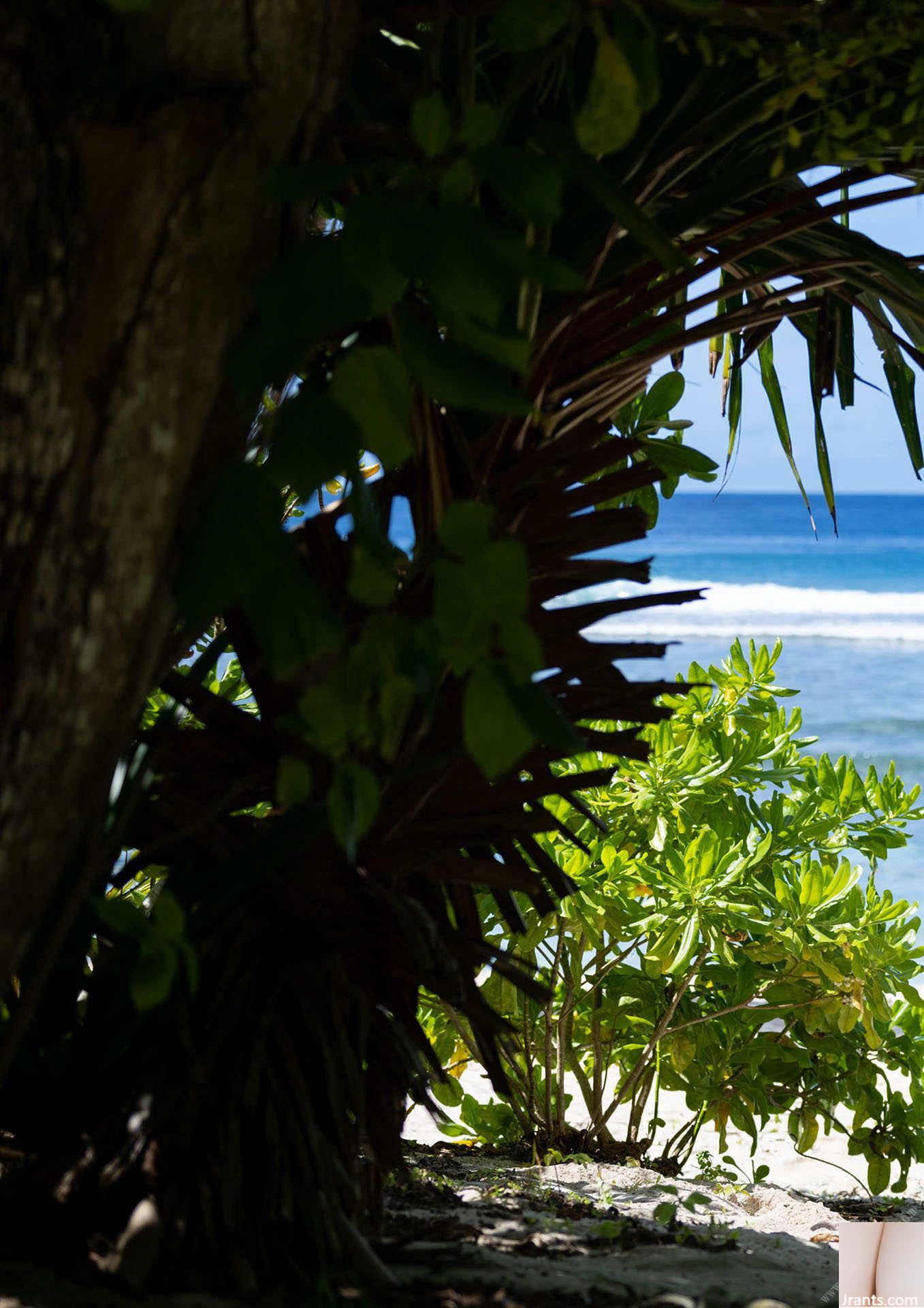 Arina Hashimoto “Thức Tỉnh” 2 (62P) - Ảnh 2