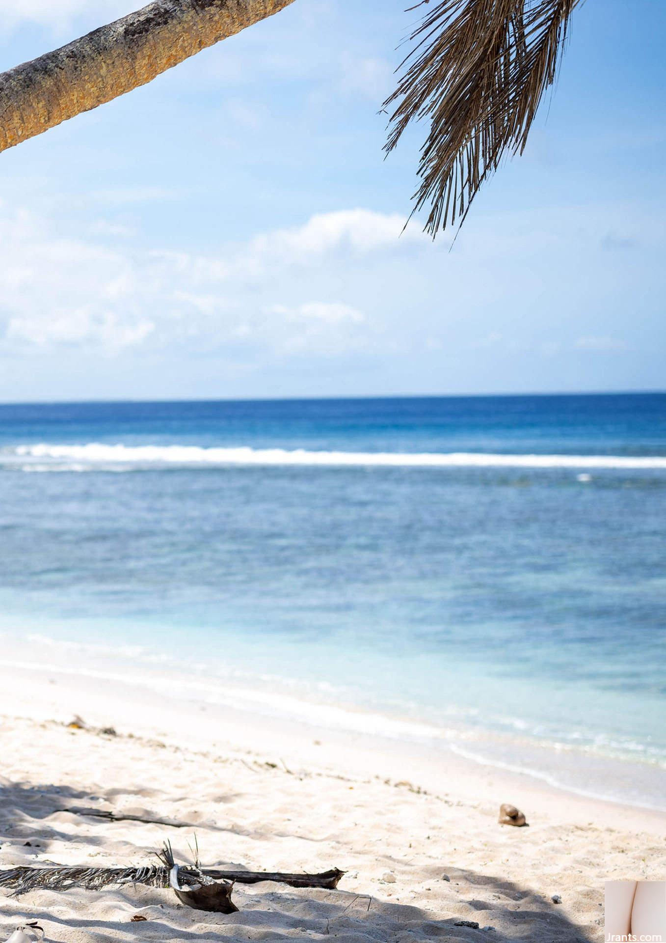 Arina Hashimoto “Thức Tỉnh” 2 (62P) - Ảnh 3