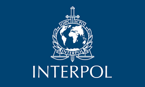 Interpol coi lừa đảo qua crypto là mối đe dọa tội phạm toàn cầu
