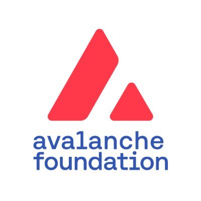 Avalanche dự đoán tương lai của các mạng phi tập trung nằm ở các blockchain độc lập